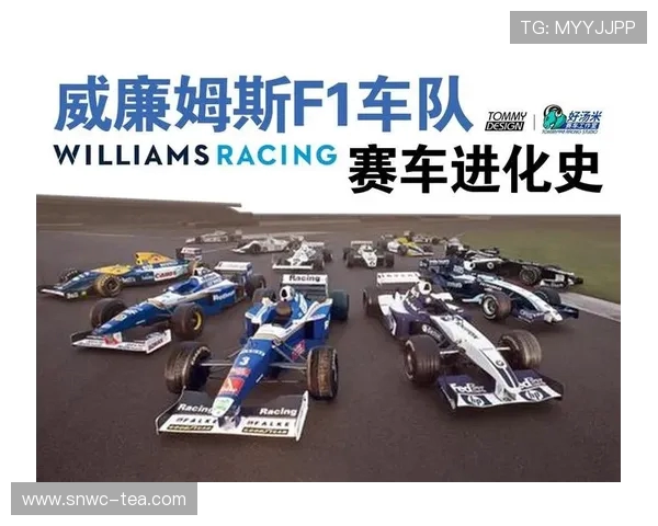 F1 进站时间进化史：从 14 秒到 1.8 秒的技术革命(1)