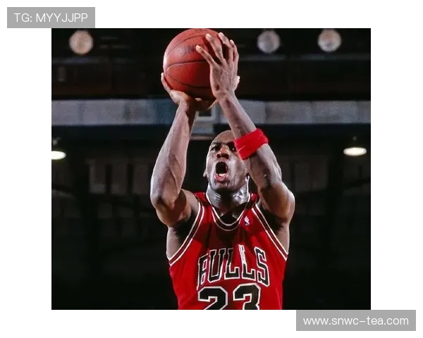 最后一投:乔丹的掌控哲学(3) 最后一投:乔丹的掌控哲学(3)