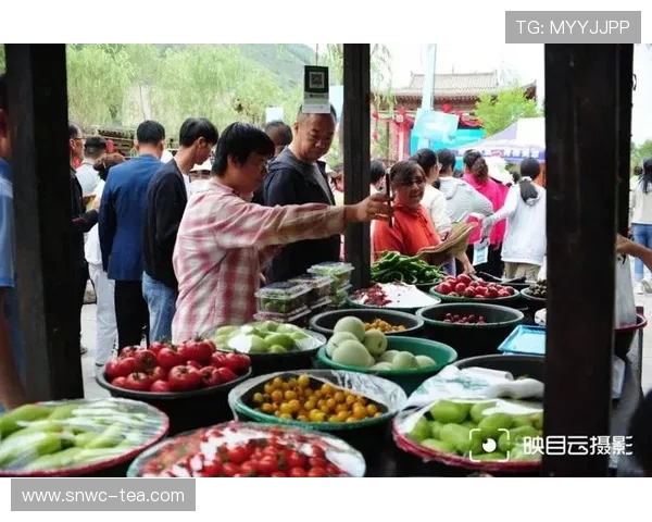 趣享运动 “乡” 约湟中：2025 西宁乡村运动会点燃云谷川活力